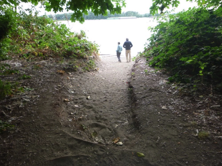 Soft surface trail to the beach on Columbia River - tree roots and trail transitions to a different level - step down